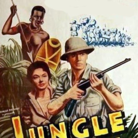 Jungle Safari