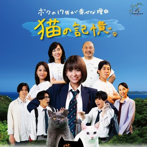 糸島映画 猫の記憶