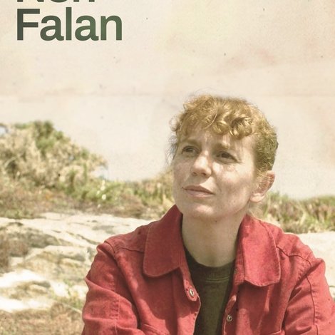Din que non falan