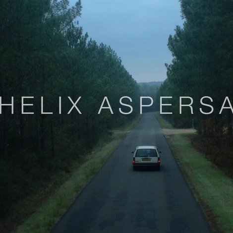 Helix Aspersa