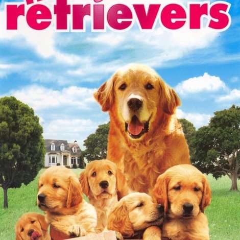The Retrievers