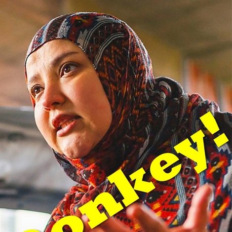 Donkey