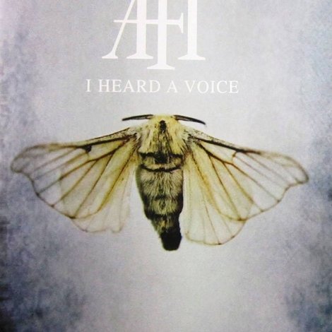AFI: I Heard a Voice