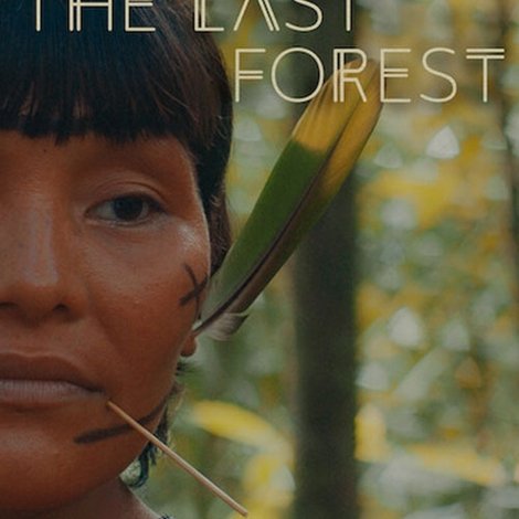 A Última Floresta