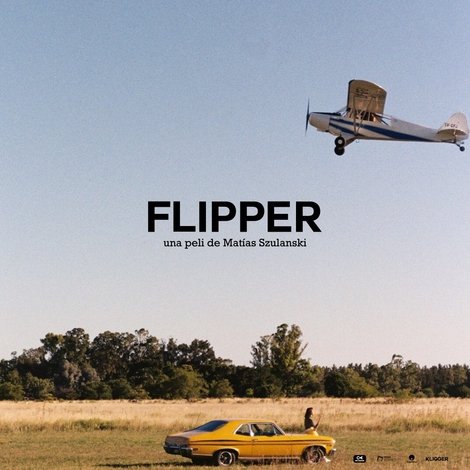 Flipper