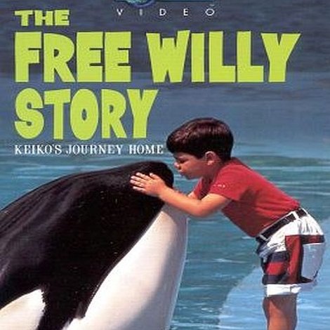 The Free Willy Story - Keiko's Journey Home