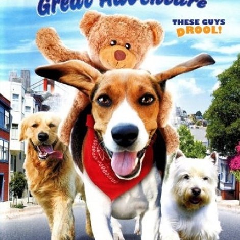 Aussie and Ted's Great Adventure