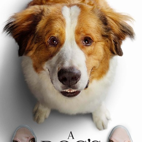 A Dog's Journey