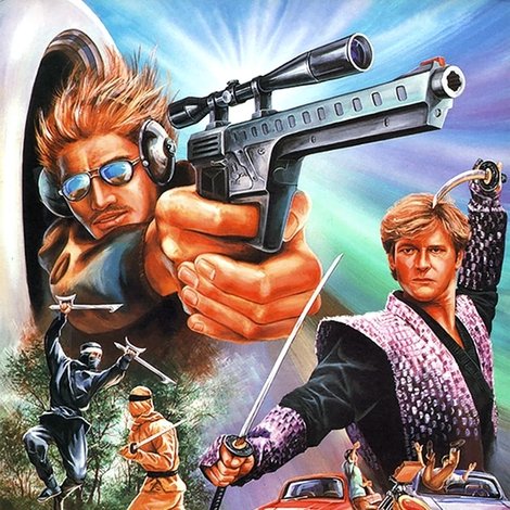 Cobra Against Ninja