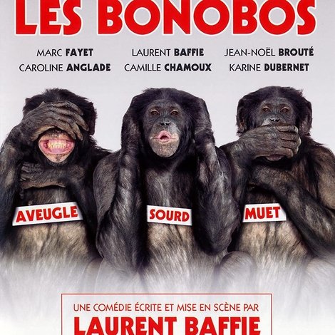 Les Bonobos