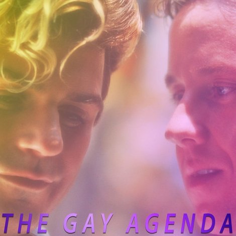 The Gay Agenda 33