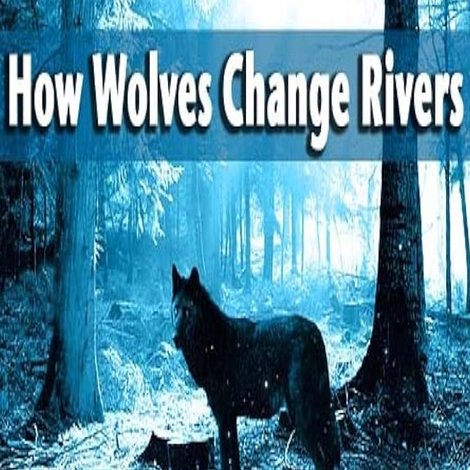 How Wolves Change Rivers