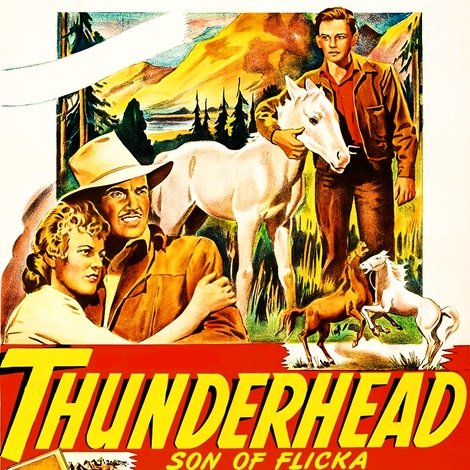 Thunderhead: Son of Flicka