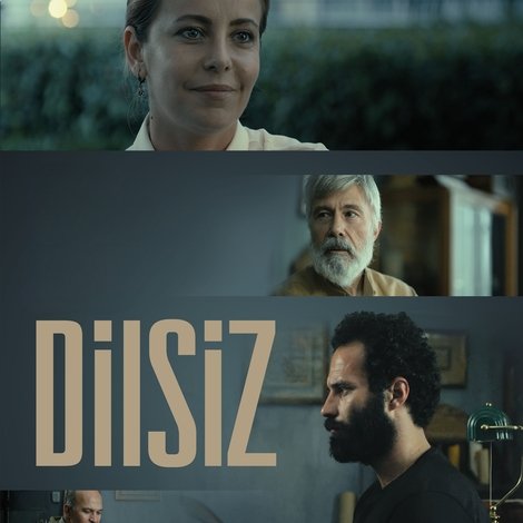 Dilsiz