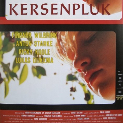 De kersenpluk