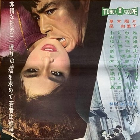 若い狼