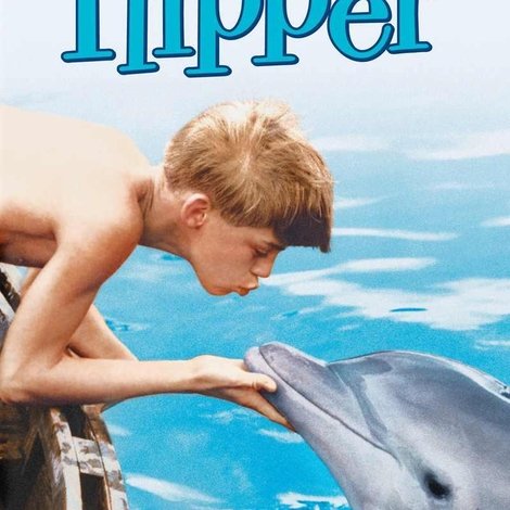 Flipper