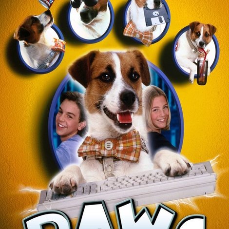 Paws