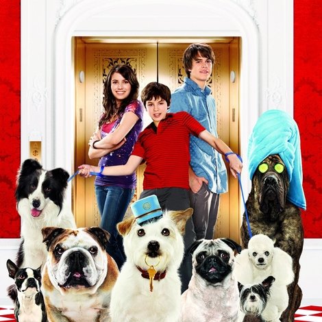 Hotel for Dogs