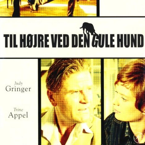 Til højre ved den gule hund