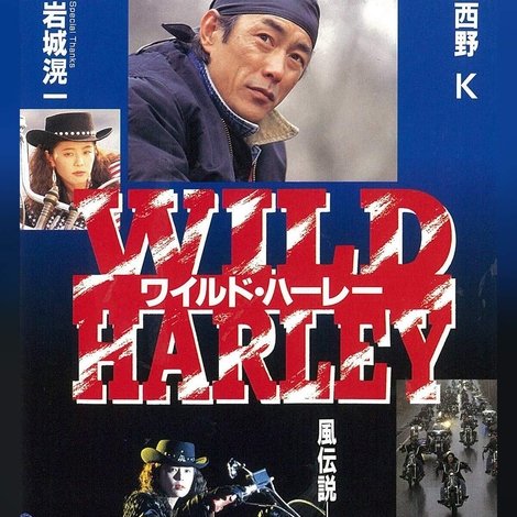ワイルド・ハーレー