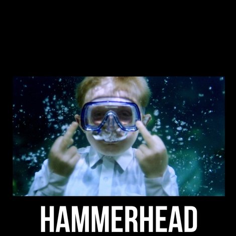 Hammerhead
