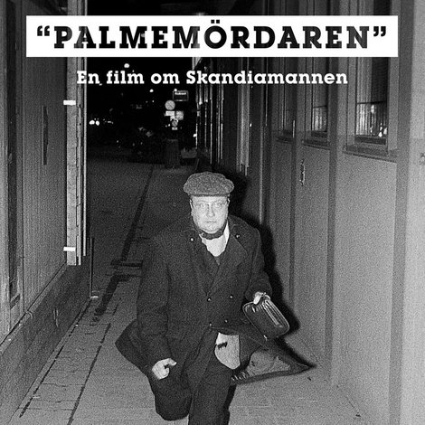 Palmemördaren