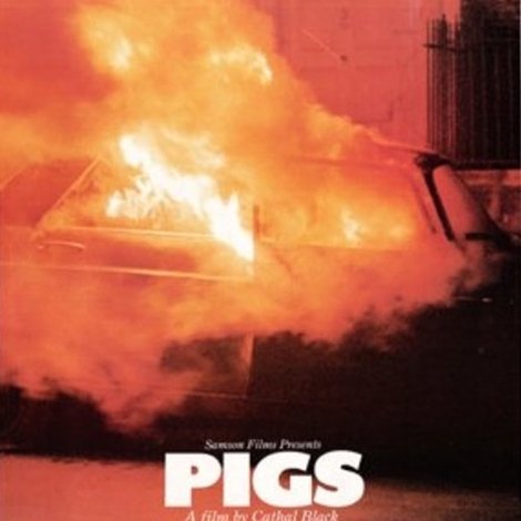 Pigs