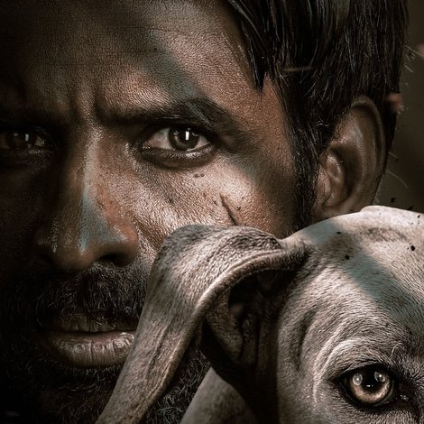 கருடன்