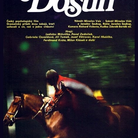 Dostih