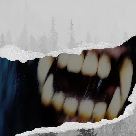 Tahoe Joe 2: The Sierra Nevada Bigfoot Conspiracy