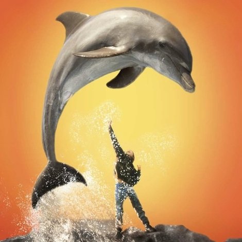 Dolphin Boy