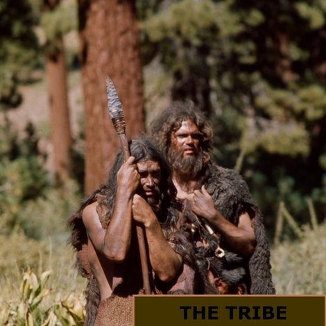 The Tribe