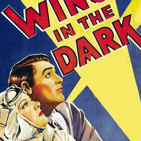 Wings in the Dark