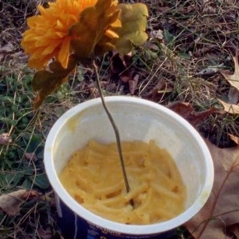 Macaroni Serenade