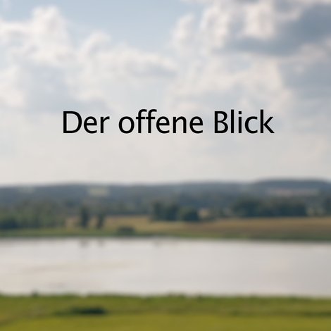 Der offene Blick