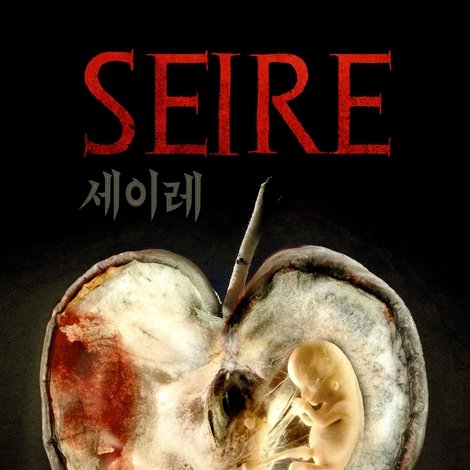 세이레