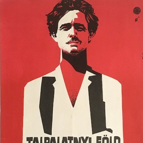 Talpalatnyi föld