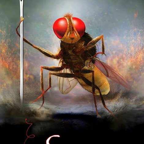 ఈగ