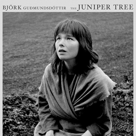 The Juniper Tree