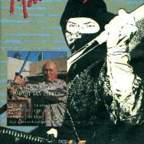 Master Ninja II