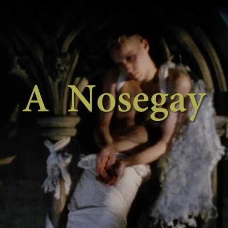 A Nosegay