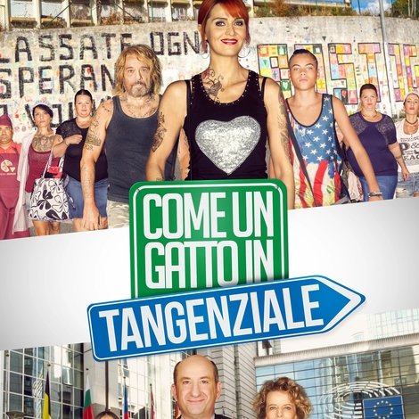 Come un gatto in tangenziale