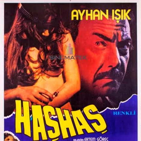 Haşhaş