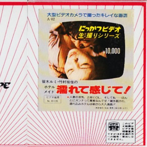 笹木ルミ・竹村祐佳の ホテルメイド 濡れて感じて!
