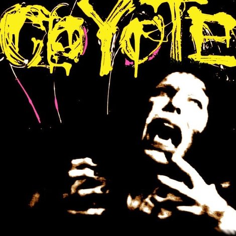 Coyote
