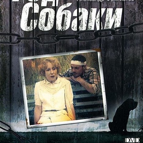 Год собаки