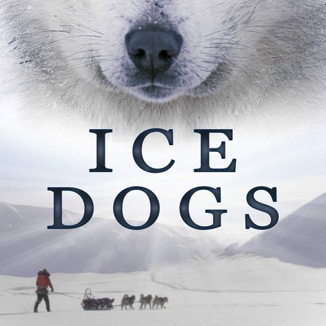 Ice Dogs: The Only Companions Worth Having