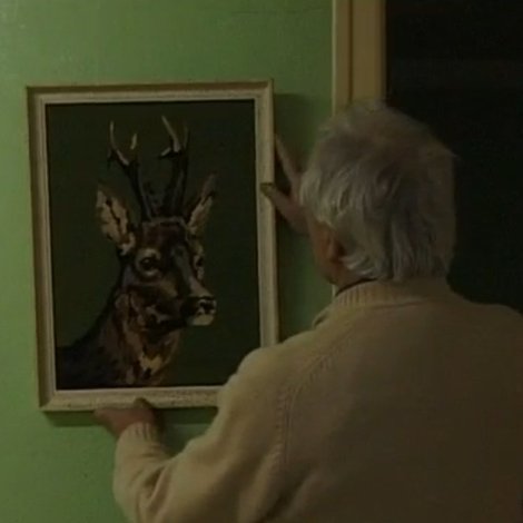 L'Appel de la forêt