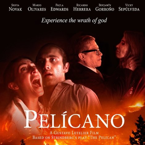 Pelícano